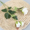 Silk flower fresh-keeping roses used to decorate the wedding background Application Scenario
